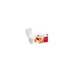 WC complet Villeroy & Boch sol sortie horizontale blanc